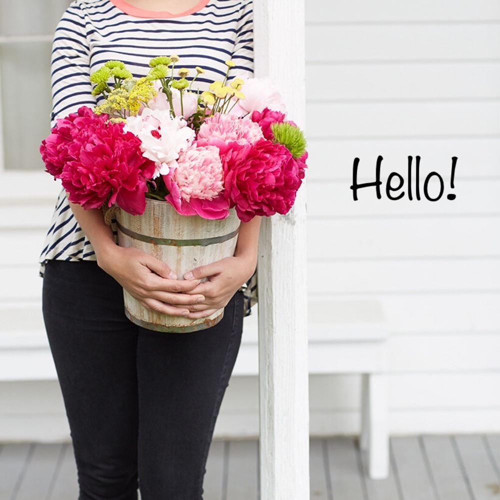Hello!  I'm Terri.